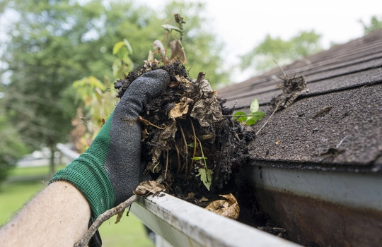 Gutter Cleaning